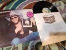 Hank Williams Jr - The New South, Warner Bros. PROMO BS3127 LP Vinyl Record 12