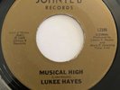 Modern Soul Boogie 45 Lukee Hayes - Musical High rare