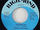 Andrew Lewis Band 