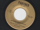 GARAGE 45- the INVISIBLE BURGUNDY BULLFROG - BATMAN RIDES AGAIN -HEAR- PANTHER
