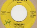 Chantells I'll Never Know Aqua Soul Northern Motown