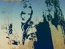 Robert Plant & Alison Krauss - Raise The Roof (180) (2LP)