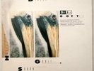 DIF JUZ - Out Of The Trees - 4AD 1986 - MAD 612 - LP VINYL