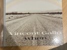 Vincent Gallo - When vinyl record warp records lp87 lp acoustic