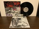 Sonic Youth, EVOL, Vinyl LP Record 2010 ORG 043 180gm NM Unplayed