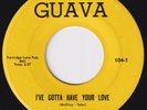 AGE OF BRONZE I've Gotta Have Your Love UNKNOWN sweet soul 45 northern funk HEAR