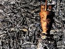 Siouxsie And The Banshees - Juju - Reissue (NEW 12