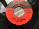 The Trips Theres That Mountain Northern Soul Record