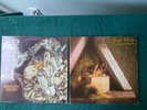 2 ORIGINAL KATE BUSH LPS: 1) NEVER FOR EVER STAO-6476 & 2) LIONHEARTED STAO-6456