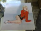 Madonna - Rebel Heart MA 1251 Picture Disc Vinyl ( Super Rare)