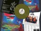 Ashbury Endless Skies LP Winterhawk Acid Manilla Road Savage slayer nwobhm UFO