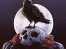 Jedi Mind Tricks - The Funeral & The Raven [New Vinyl LP]