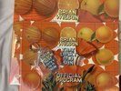 That Lucky Old Sun by Brian Wilson (Record, 2008) plus tour book and key chain
