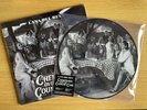 Lana Del Rey Chemtrails Over the Country Club Picture Disc & Clear Vinyl NEW