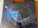 Tool Fear Inoculum SIGNED Deluxe 5 LP Vinyl Box Set Autographed By BAND LIMITED