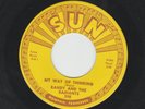 GARAGE ROCKER - RANDY AND THE RADIANTS - MY WAY OF THINKING - HEAR 1965 SUN 398