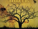 Dozer - Beyond Colossal [New Vinyl LP]