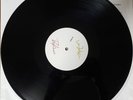 THE FELICE BROTHERS - LIFE IN THE DARK (AUTOGRAPHED) [WHITE LABEL TEST PRESSING]