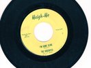 The Dagenites 45 Im Gone Slide/Now That Summers Gone HEIGH HO garage HEAR 138