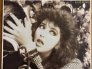 Kate Bush  