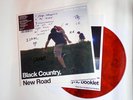 BLACK COUNTRY NEW ROAD - FOR THE FIRST TIME  MARBLED BROWN SIGNED VINYL ZEN269RS