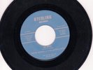 Norm Burns & The Satellites 45 9X Man/Call The Repair Man STERLING orig RARE 31