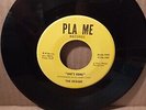 THE OCEANS she's not there / abilene PLA ME 804B rare 60s PUNK killer GARAGE 45
