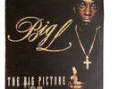 Big L Big Picture vinyl