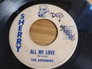 R&B Garage 45 The Arondies 