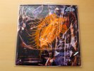 EX/EX   Loop/Sonancy/2022 LP + Bonus 12