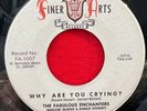 Fabulous Enchanters - Why Are You Crying / Something Blue - Finer Arts - RARE 45