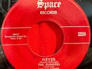 The Dundees - Evil One / Never - Spare - RARE R&B TITTYSHAKER 45