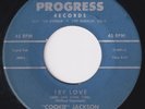 COOKIE JACKSON Try Love  r&b 45 northern soul Progress Hot Dog HEAR