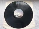 KATE BUSH  NEVER FOREVER  Original UK  Press LP *MINT-  COPY*
