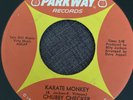 NORTHERN SOUL   Chubby Checker : Karate Monkey