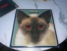 blink-182 Cheshire Cat Grilled Cheese Red Eyes LP Complete Copy with insert