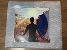 A Day To Remember - Common Courtesy Lmited Edition “Shark Attack” 2XLP