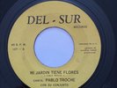 PABLO TORCHE CONJUNTO  - Mi Jardin Tiene Flores / PLENA MERENGUE PUERTO RICO 45