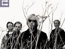 Tom Petty & Heartbreakers - Echo [New Vinyl LP]