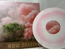 Los Campesinos  - No Blues Vinyl LP Pink White Limited Edition