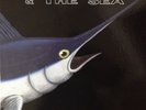 Old Man and the Sea – Second SHADOKS 158