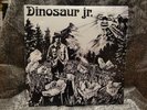 Dinosaur Jr 1985 self titled 2011 vinyl record Jr. Sebadoh grunge OOP