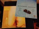 Pisces Iscariot by Smashing Pumpkins (Record, 2012)