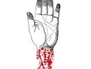 Converge You Fail Me NEW OVP Deathwish Vinyl LP