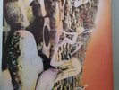 Led Zeppelin Vinyl Album LP House Of The Holy