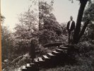 Timber Timbre - Timber Timbre - Vinyl Record.. - P7351A
