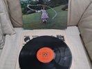 Trees LP On The Shore UK CBS 1st Press  ACID FOLK 1970 vinyl record