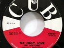 The JAYTONES 45 My Only Love / Absolutely Right CUB doowop MINT-   Kz 907