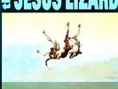 Jesus Lizard - Down (Deluxe) - LP Vinyl - TG431LP - NEW