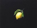 Beyoncé – How To Make Lemonade Vinyl Box-Set, Limited Edition, Numbered,Edition,